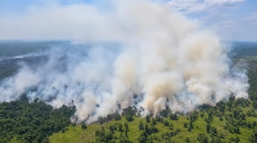 Gambut Kayong Utara Makin Rentan Terbakar, Aktivitas Kanal Jadi Sorotan