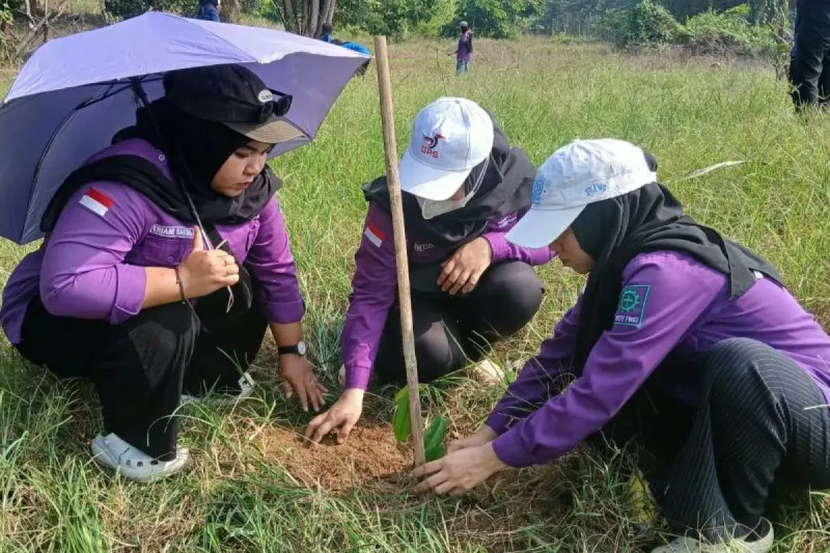 Gempur tanam pohon produktif di batas negari untuk pelestarian