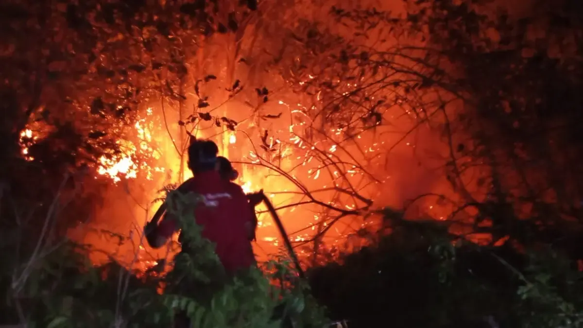 Situasi karhutla sekitar Kota Sukadana, Kabupaten Kayong, Kalimantan Barat.
