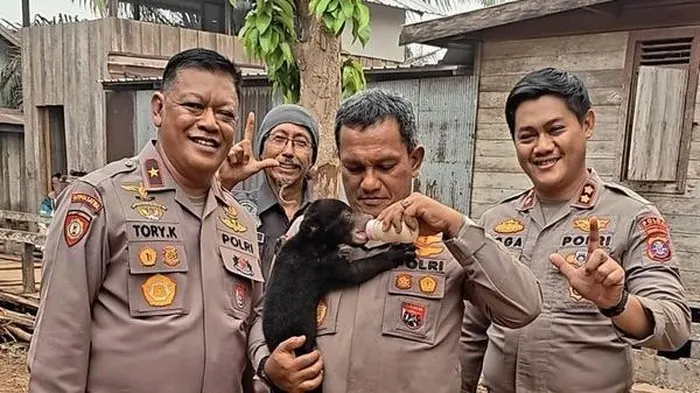 Akibat Kebakaran Hutan, Seekor Anak Beruang Madu Ditemukan Warga Tanpa Induk di Riau