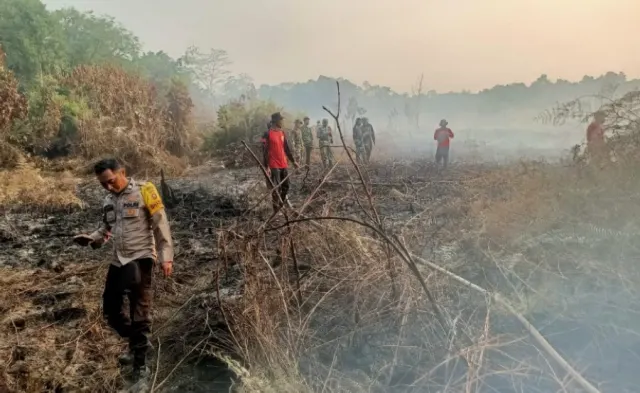 Ketapang hingga Kapuas Masuk Peta Pencabutan PBPH, WALHI Soroti Ancaman Karhutla Berulang
