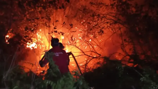 Karhutla Ditargetkan Padam Sebelum Sebulan, Bantuan Malaysia dan Singapura Belum Pasti