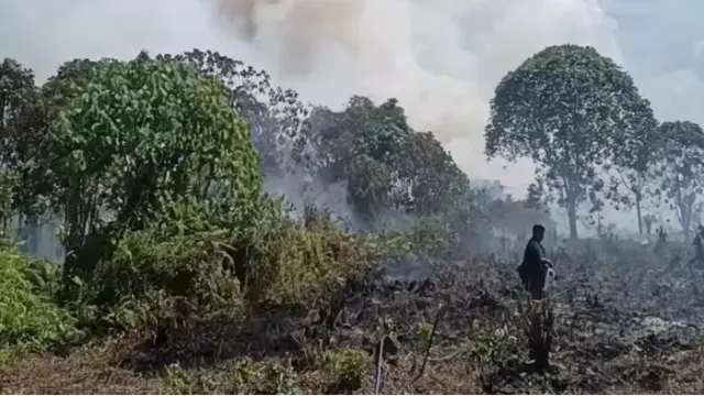 Pemicu Karhutla 30 Hektare di Pulau Hanaut Kotim Terungkap: Berawal dari Bakar Sabut dan Pelepah Kelapa